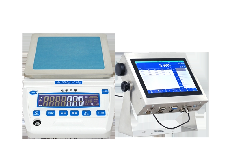 Electronic Weighing Instruments